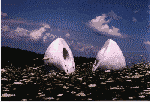 tmcutbal.gif