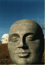 tmgaea.gif