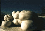 tmwoman1.gif